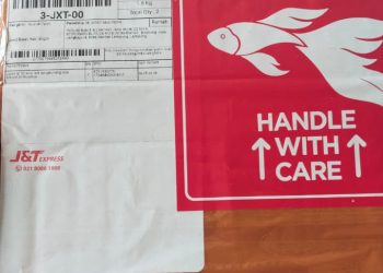 Kebebasan Pers Dipertanyakan, Djadin Media Grup Jadi Target Serangan