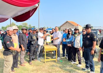 Sempat Redup Puluhan Tahun, Perkutut Kembali Populer, 12 Ribu Orang Ramaikan Lomba di Pringsewu