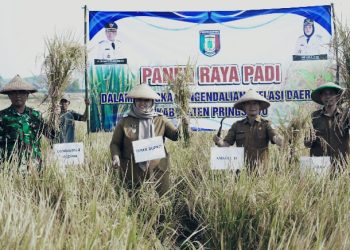 Dari Wonosari, Pemkab Pringsewu Tegaskan Komitmen Perkuat Sektor Pertanian