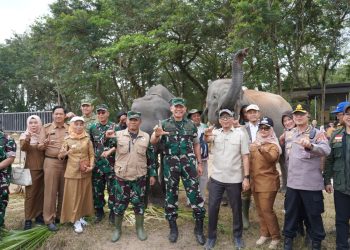 Bukan Cuma Padamkan Api, TNI-Polri Jaga Gajah Sumatra di Tengah Ancaman Karhutla