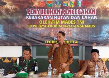 Pringsewu Dihantui Karhutla, Mabes TNI Dorong Damkar Lebih Siap Hadapi Kebakaran